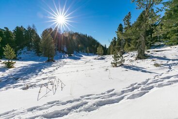 游客公寓 Almhaus Blümel