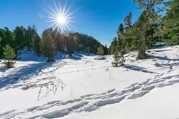 Apartaments turístics Almhaus Blümel
