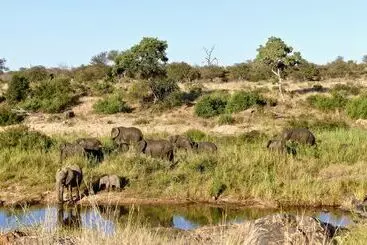 ホテル Klaserie Drift