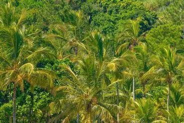 ホテル Pousada Vila Barequeçaba