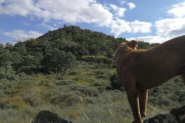 فندق Las Glorias