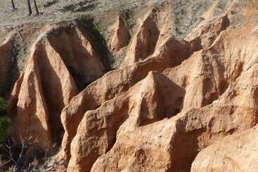 Пансион Arroyo Milano Casa Rural