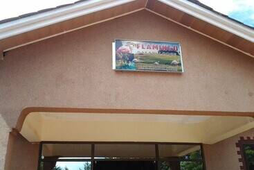 Отель Flamingo Safari Lodge