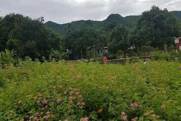 Hotel Sai Yok Noi Blue Mountain Resort