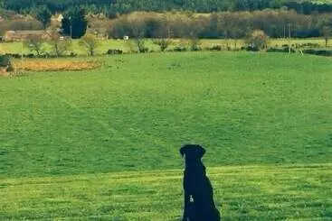 Finzean Estate Holiday Cottages