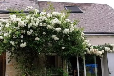 Aamiaismajoitus (B&B) Le Coffret D Avenir