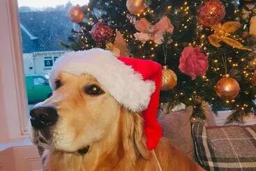 Bed and Breakfast Holbein House