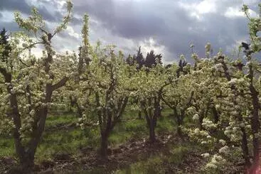 تختخواب و صبحانه Mas De La Coucourde