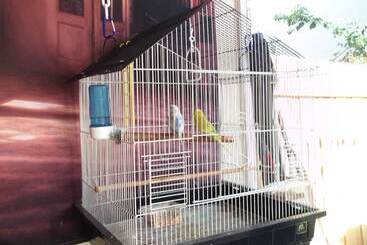 Majatalo Dawson's House