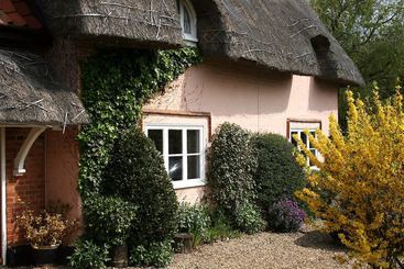 Thatched Farm B&b And Holiday Cottages