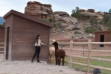 Maaseutuhotelli Cougar Ridge