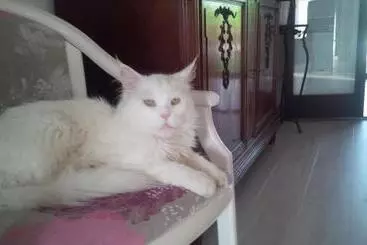 Nocleg ze śniadaniem Chambres D'hotes De Sauviolle