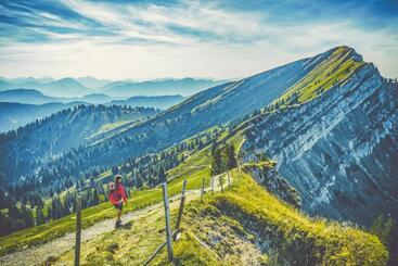 Отель Alpenkonig