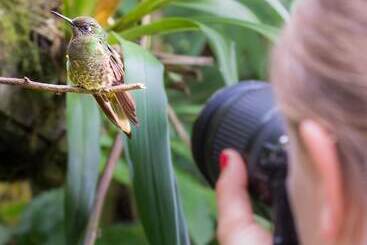 هتل Muchosur Quimbaya