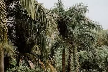 ホテル Castillo Tambor Resort & Restaurant