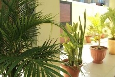 游客公寓 Monalysa St Honoré Apartment & Studio