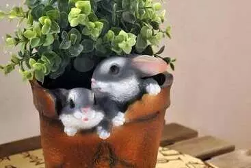 Bed & Breakfast Tri Zaytsa