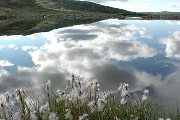 Rødungstøl Høyfjellshotell