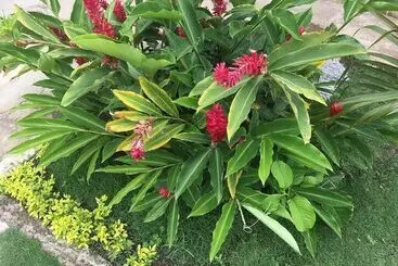 تختخواب و صبحانه Val De Liz