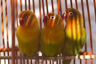 Riad Tamayourt Ocean View & Piscine Chauffée à 30