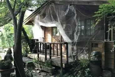 Alpha Eight   Hostel