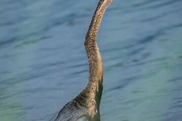 هتل Leopard Plains