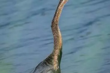 هتل Leopard Plains