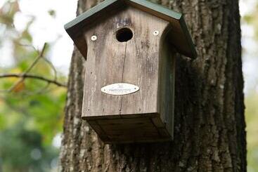 Hotell Vrijrijck Vakantieparken – Ermelo