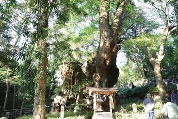 Ryokan Atami Kinomiyanoyu Shogetsu