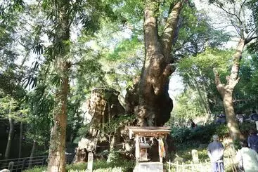 Ryokan Atami Kinomiyanoyu Shogetsu