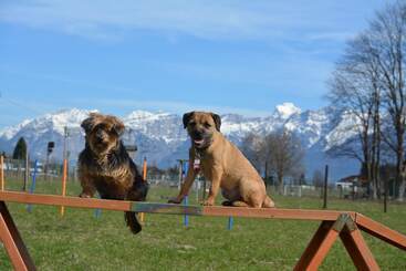 Pensão Feriendorf Oberreit