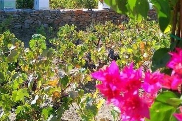 Pensionat La Maison Vert Amande