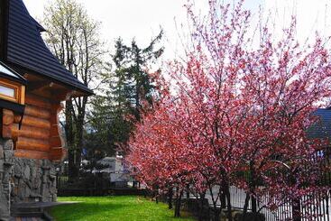 פנסיון Zakopiański Dwór