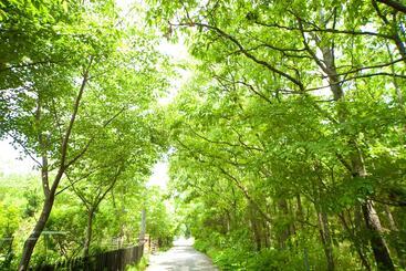 Casa Rural Yufuin Tsukahara Kogen Sanso Donguri