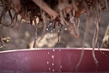 Hotel Baleni Cultural Camp