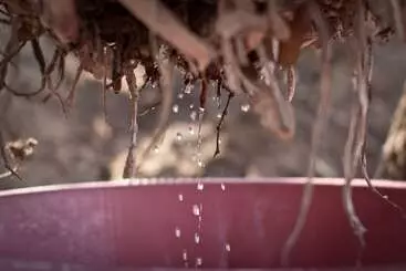 Hotel Baleni Cultural Camp