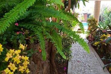 Hostal Quinta Real Las Palmas Malinalco