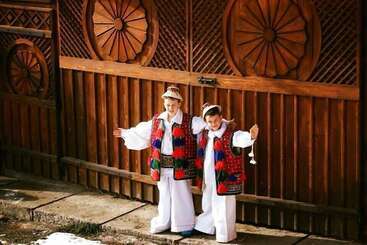 هتل روستایی Pensiuna Maramures Hoteni