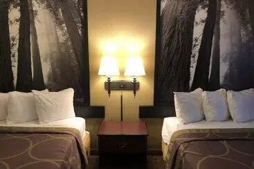 ホテル Super 8 By Wyndham Corning