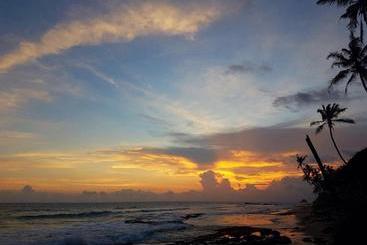 Pensiune Jungle Vibes