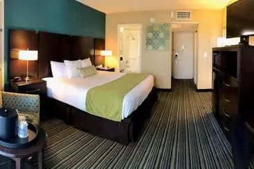 בית מלון כפרי Palm Tree Club Miami