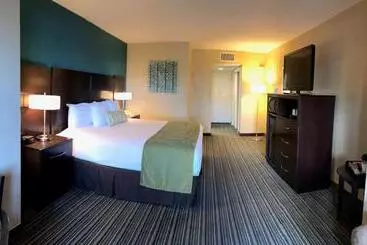 בית מלון כפרי Palm Tree Club Miami