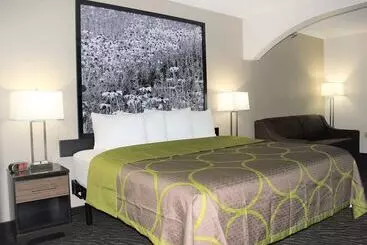 فندق Super 8 By Wyndham High Point/greensboro