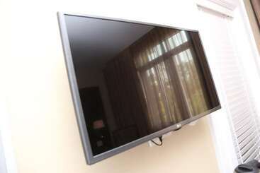 Bed and Breakfast Dragon