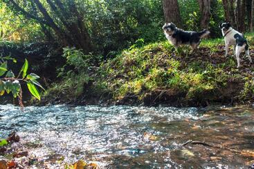 ホテル Agroturismo Araize