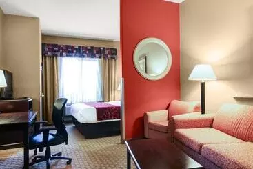 酒店 Comfort Suites Fort Stockton