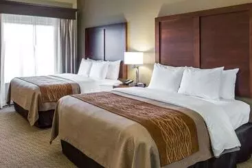 هتل Comfort Inn Naples East I75