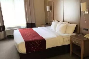 Hotel Comfort Suites Bush Intercontinental Airport