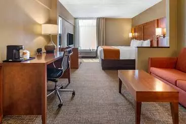 酒店 Comfort Suites Bethlehem Near Lehigh University And Lvi Airport
