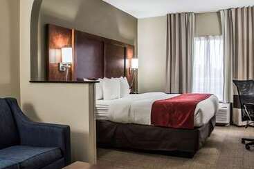 酒店 Comfort Suites University  Research Park